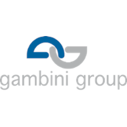 logo solidfloors_logo°Gambini group.png